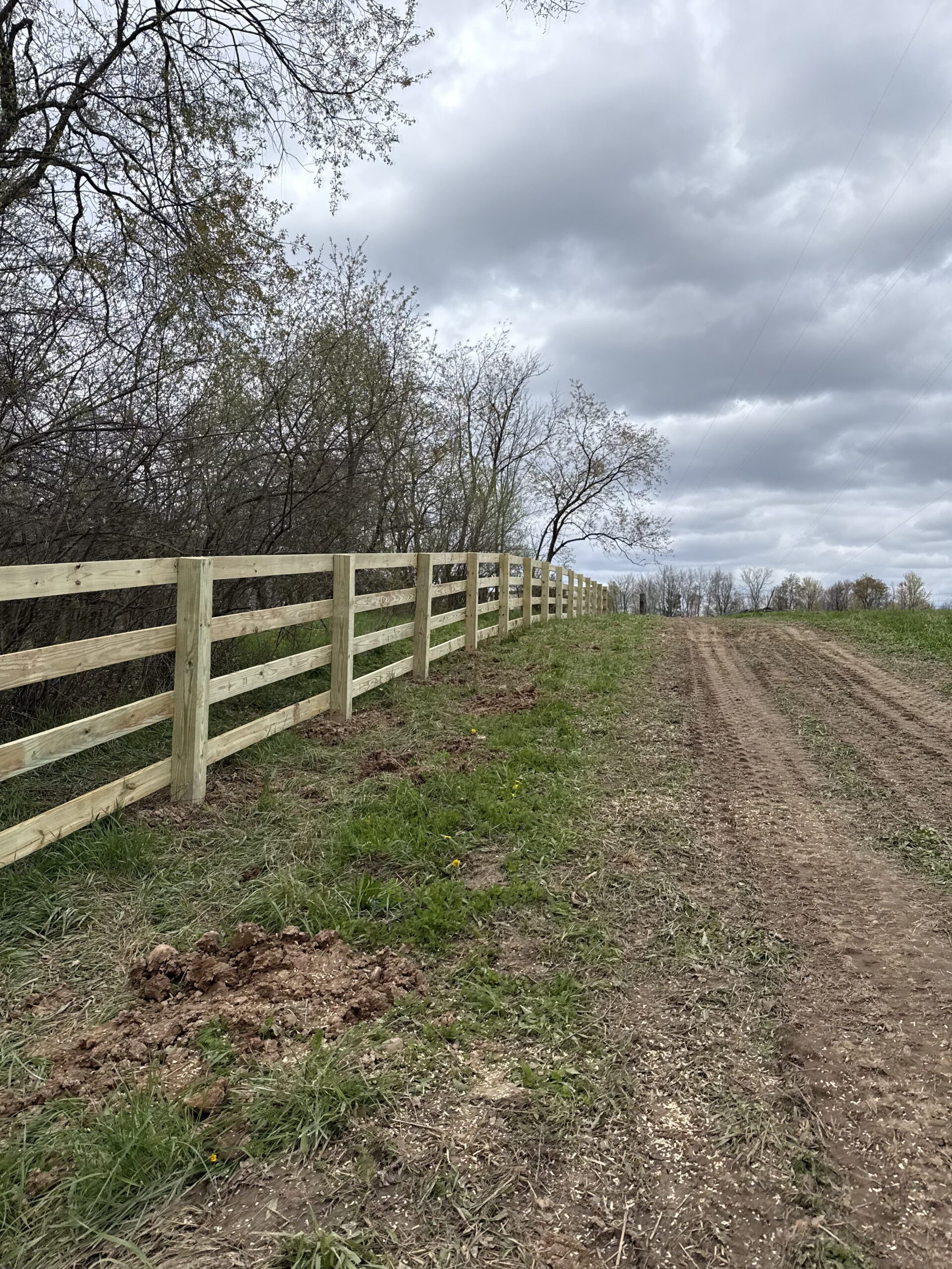 Newly installed split-rail wood fence on West Michigan farmland in overcast spring conditions