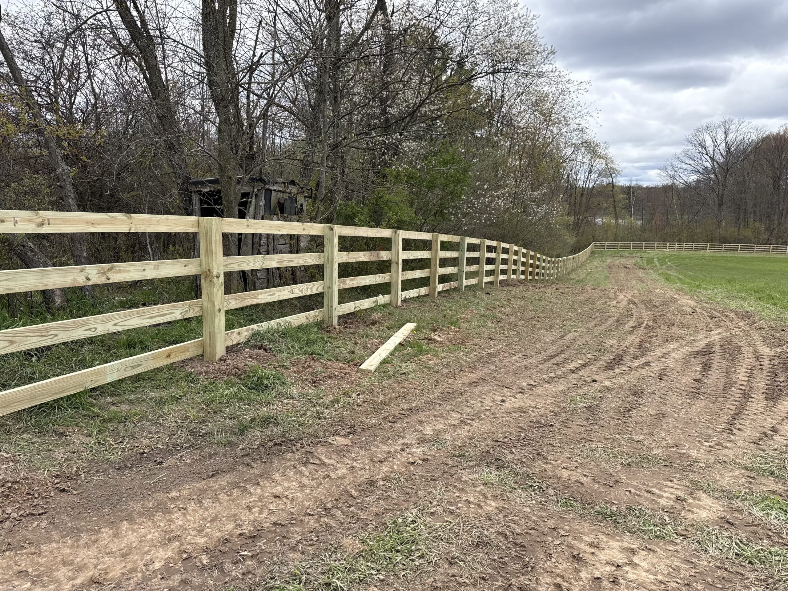 New split-rail wood fence along West Michigan farmland